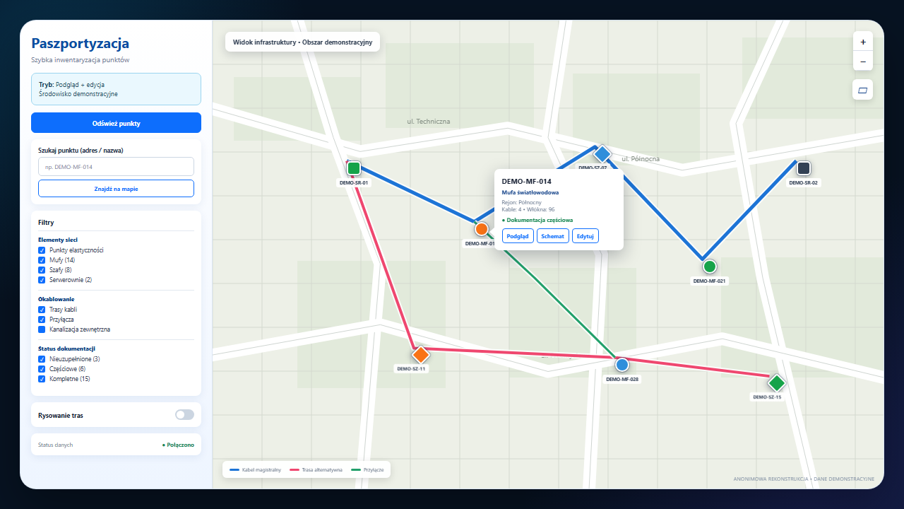 An anonymised infrastructure map with points and cable routes